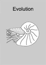 Heft Evolution