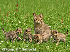 Bild vergr&ouml;&szlig;ern!