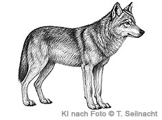 Bild vergr&ouml;&szlig;ern!