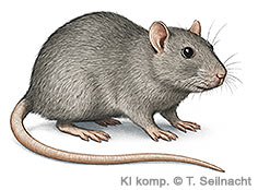 Bild vergr&ouml;&szlig;ern!