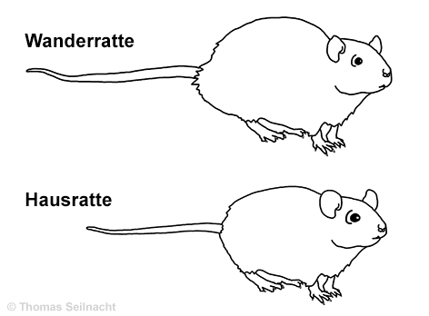 Bild vergrößern!