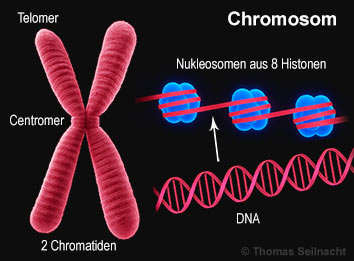 Bild vergr&ouml;&szlig;ern!