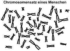 Bild vergrößern!