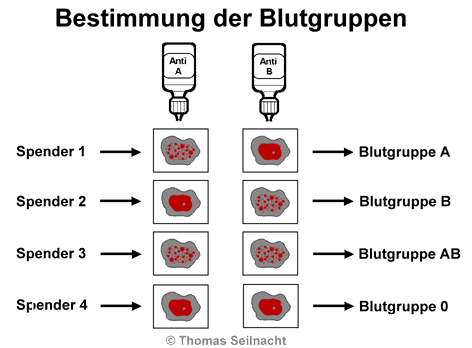 Bild vergrößern!