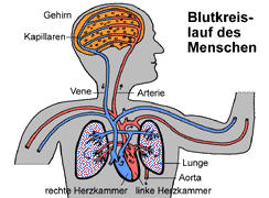 Bild vergrößern!