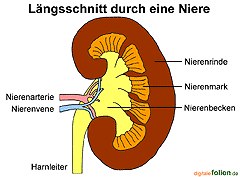 Bild vergrößern!