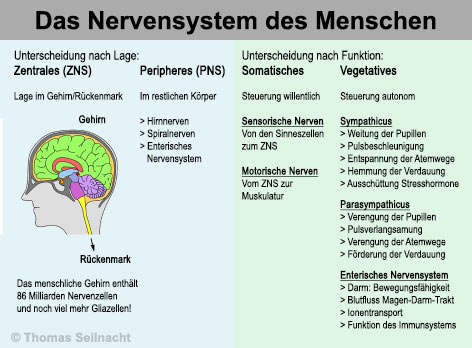 Bild vergrößern!