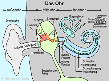 Bild vergrößern!