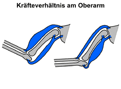 Bild vergrößern!