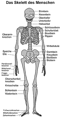 Bild vergrößern!