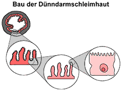 Bild vergrößern!