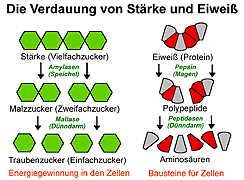 Bild vergrößern!