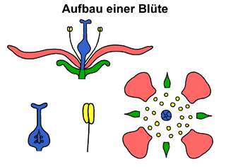 Bild vergrößern!