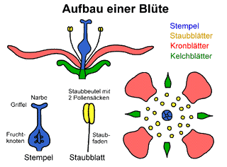 Bild vergrößern!