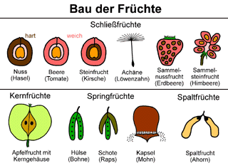 Bild vergrößern!