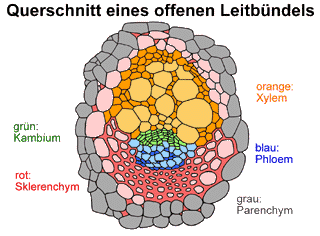 Bild vergrößern!