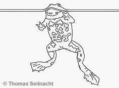 Bild vergr&ouml;&szlig;ern!