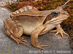 Bild vergr&ouml;&szlig;ern!