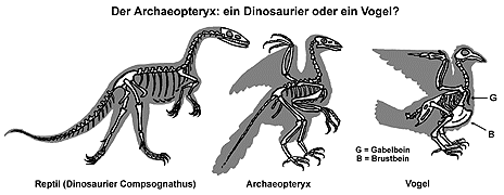 Bild vergrößern!