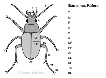 Bild vergrößern!