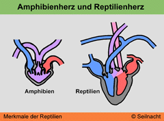 Bild vergrößern!