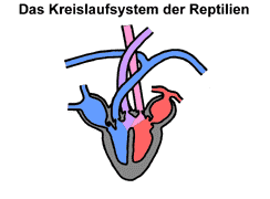 Bild vergrößern!