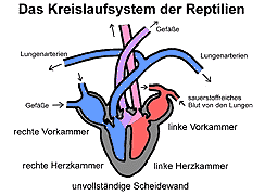 Bild vergrößern!