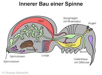 Bild vergrößern!