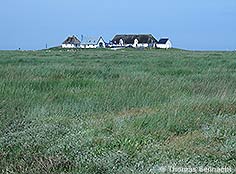 Hallig